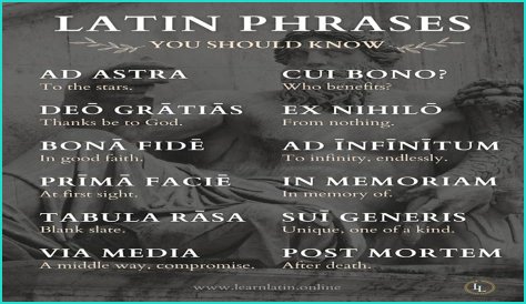 A Profile Of A Latin Beauty