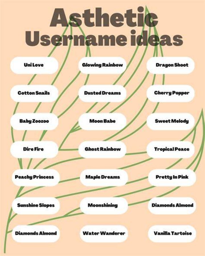 100+ Funny Short Usernames AestheticNames Aesthetic Names