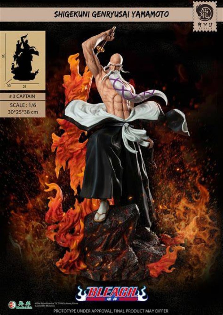 20 Best Bald Anime Characters Ranked (With Reasons For Balding) 9 #12 Shigekuni Yamamoto-Genryūsai