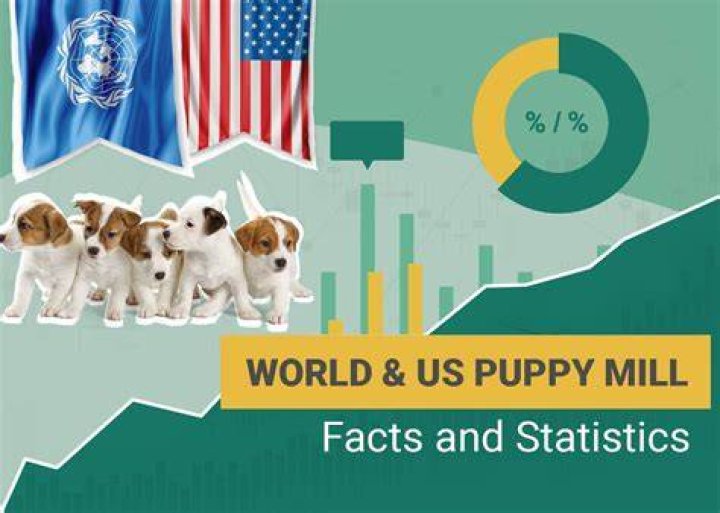 13 Heartbreaking Puppy Mill Statistics & Facts: 2024 Update