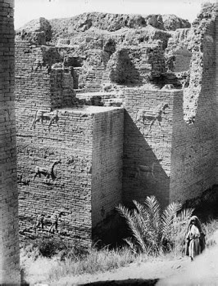 بوابة الخدمات الالكترونية الترقيات 