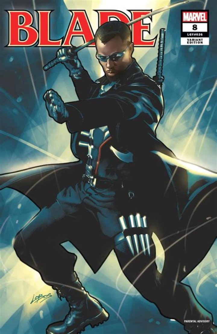 #20 Blade - Superheroes Who Kill