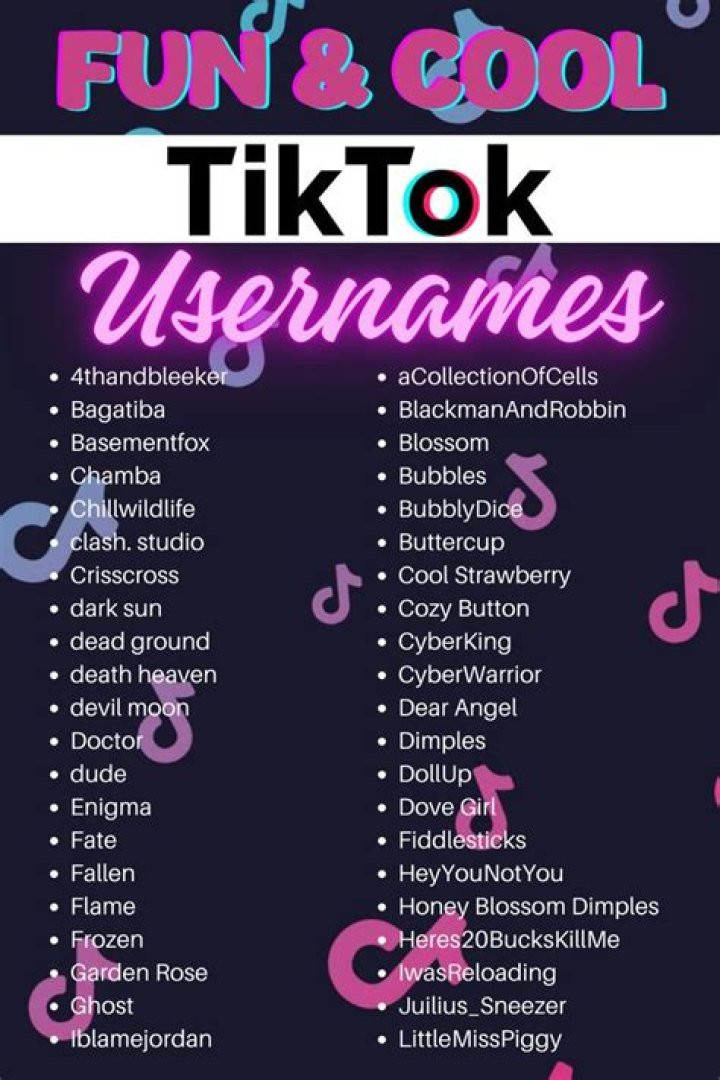 24+ Funny Usernames For Tiktok OrlaighKinjal