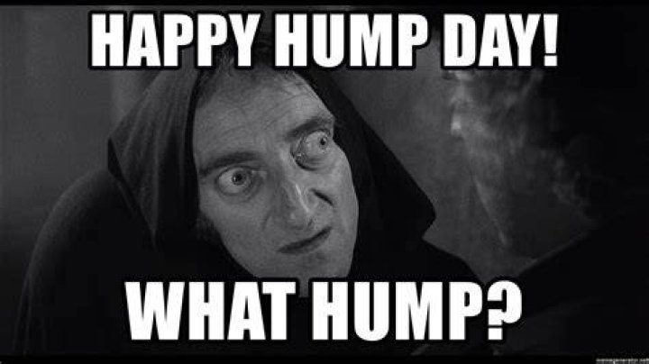 28 Funniest Happy Hump Day Memes That Makes You Fun Happy hump day