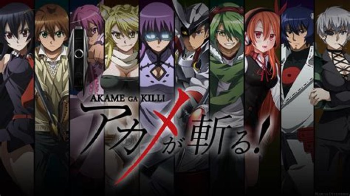 20 Best Emo Anime You Should Watch This Weekend 17 #4 Akame Ga Kill - Best Emo Anime