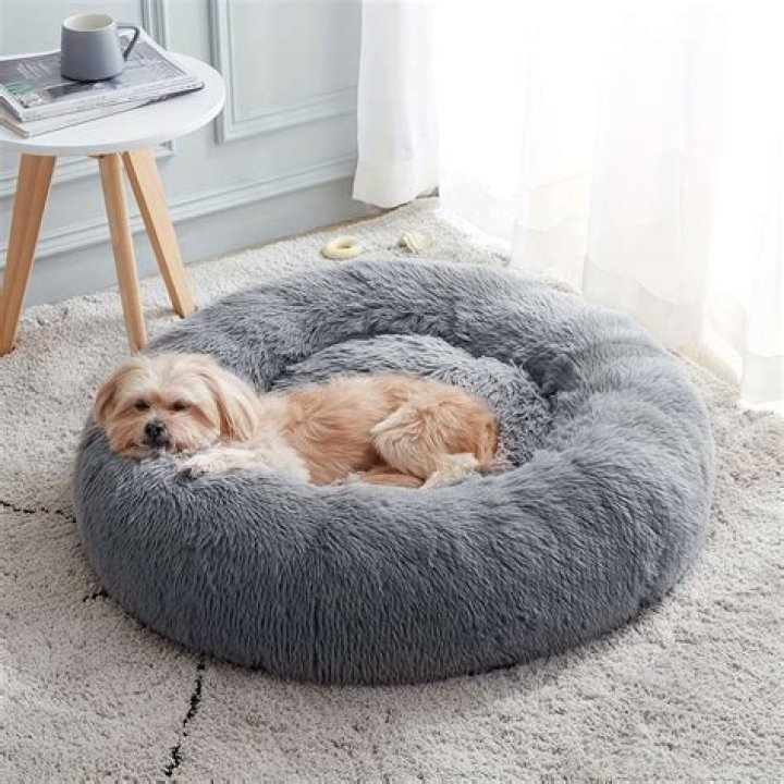 4Frisco Eyelash Cat & Dog Bolster Bed