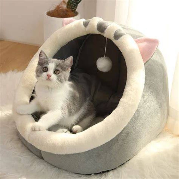 5FOCUSPET Dog Bed Cat Bed Donut