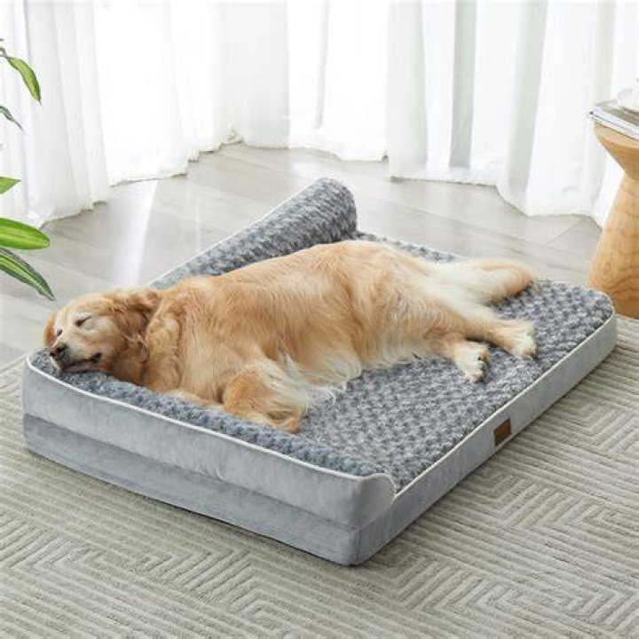 6Furhaven Pet Dog Bed