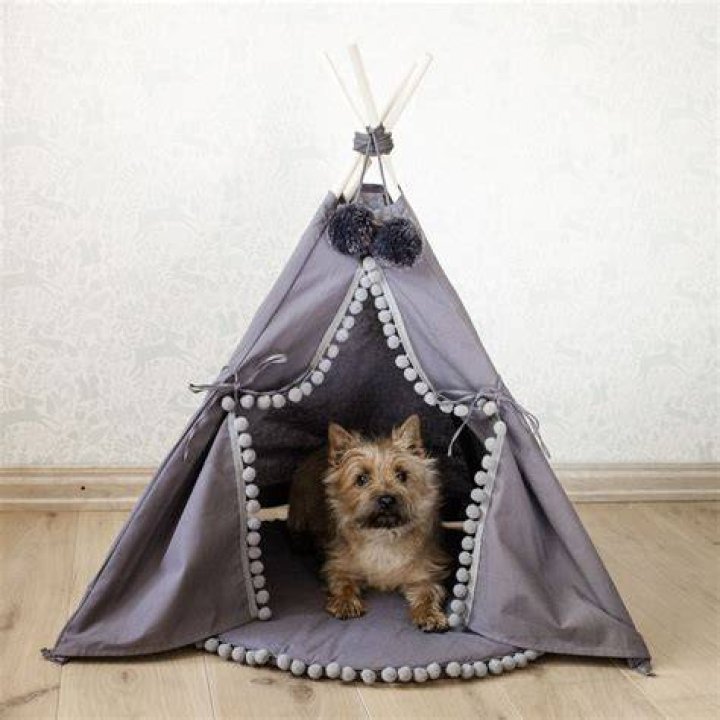 9Pet Teepee Dog & Cat Bed with Cushion