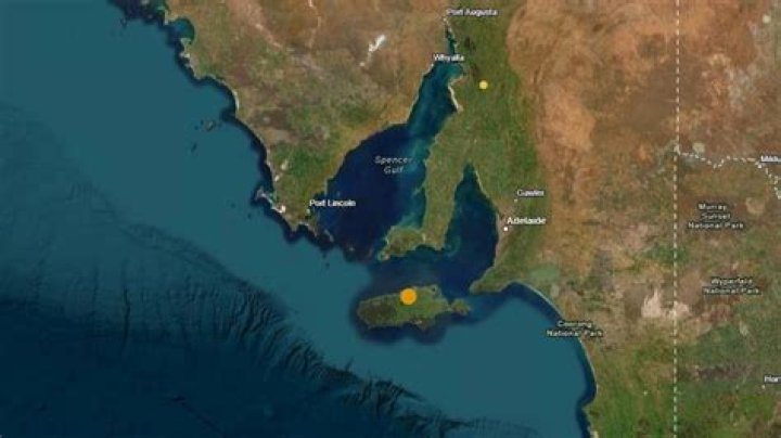 A 4.8 magnitude tremor shook several parts of Gauteng