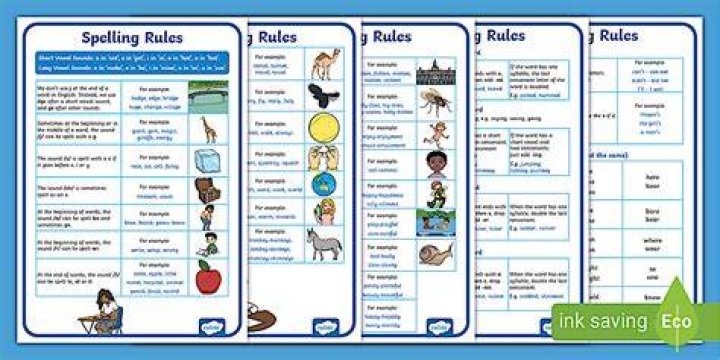 A comprehensive set of rules shows what riders should and shouldn't do on Skyline Rotorua's luge track.