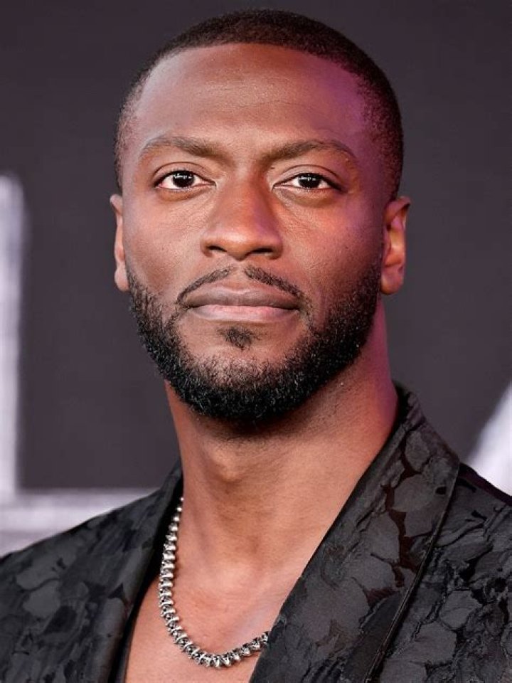 Aldis Hodge as Vernon Roche in The Witcher