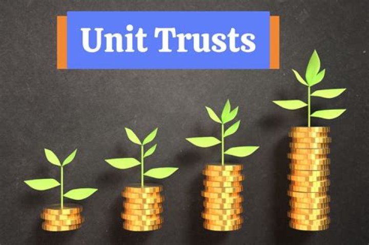 Are unit trusts a good investment?