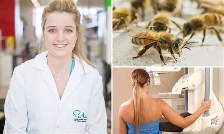 Aussie scientist Ciara Duffy has made an extraordinary discovery: Honeybee venom can kill aggressive breast cancer cells. Photo / Supplied 