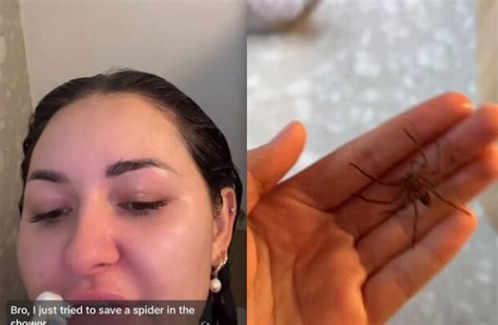 Australian influencer Anna Paul shocks fans with ‘terrifying’ moment Huntsman spider crawls up her leg