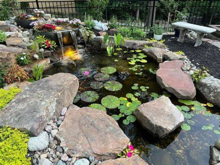 backyard fish pond gravel
