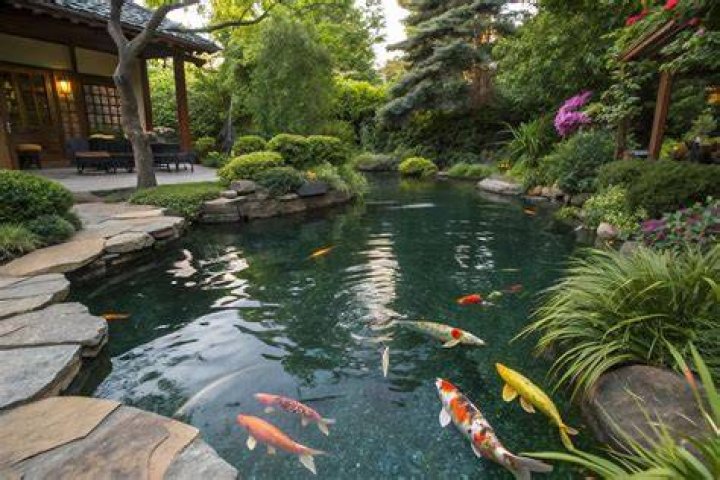 backyard fish pond