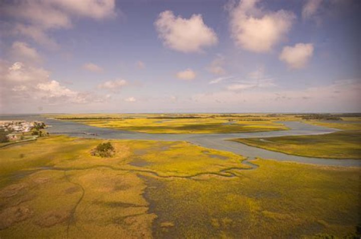 Bald Head Island on Behance