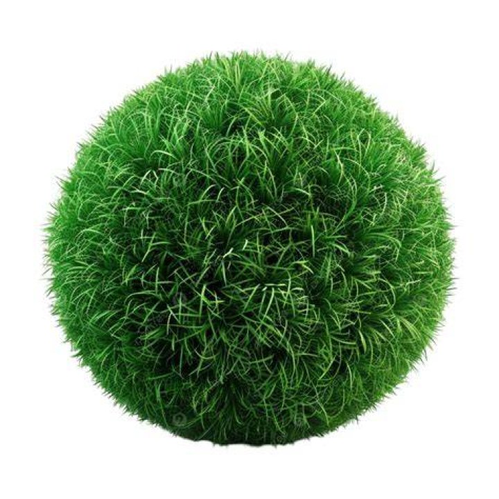 ball on grass