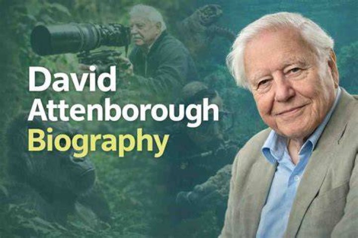 biography of david dontoh