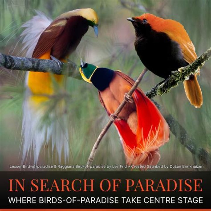 Birds of Eden latest fees, operating hours, sanctuary, photos