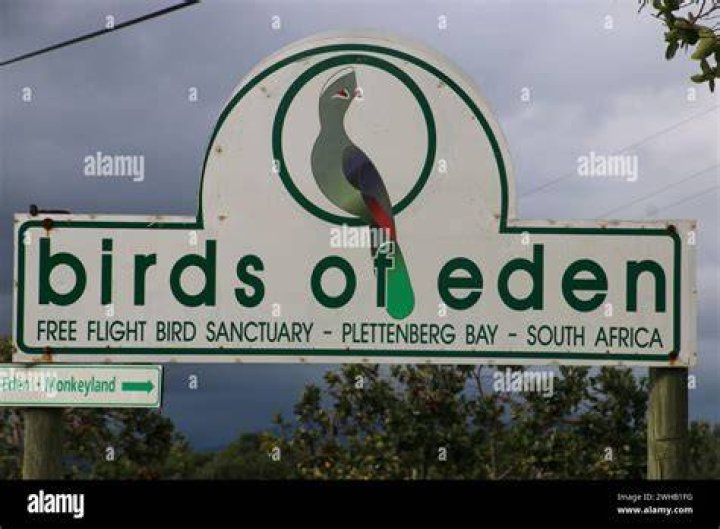 Birds of Eden Birds of Eden