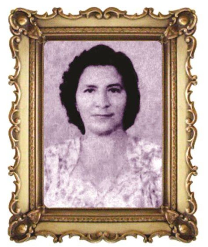 BLOG MENEZES DE LIMA MARIA DA GRA&Ccedil;A LIMA MENDON&Ccedil;A