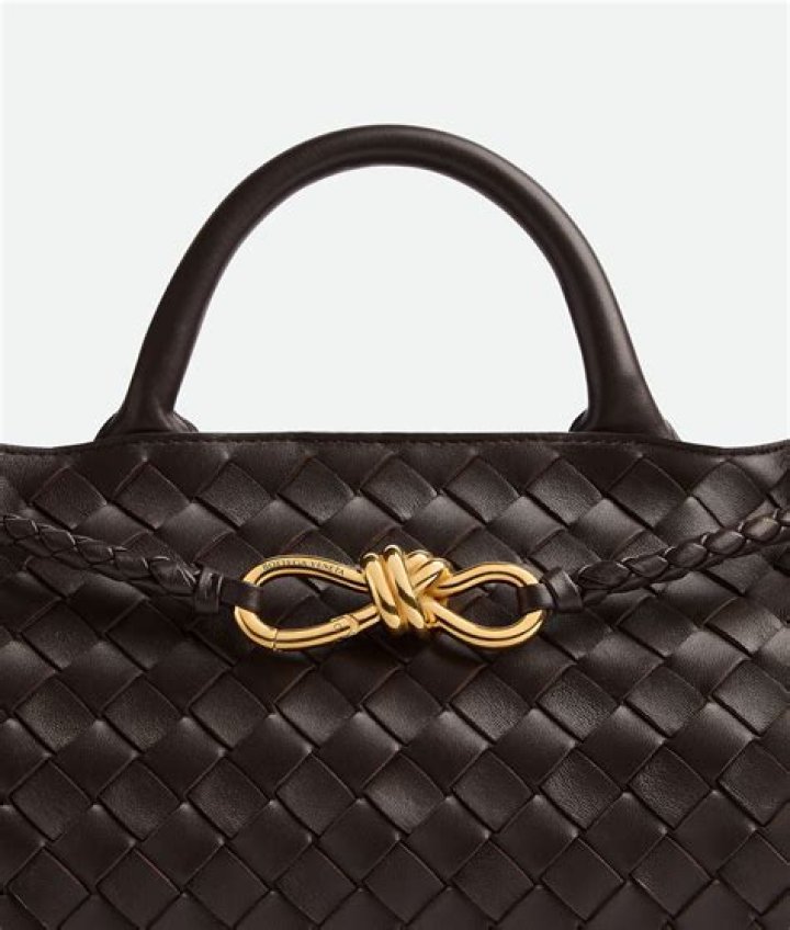 Bottega Veneta handbag Bottega Veneta handbag