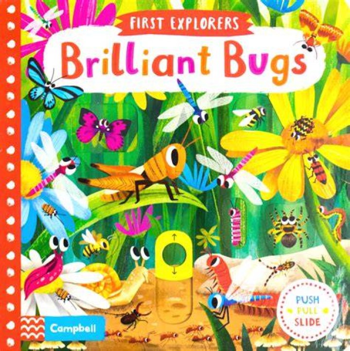 Brilliant bugs Brilliant bugs