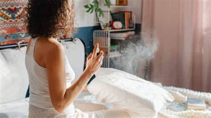 Can I Spray Alcohol on My Bed To Disinfect?