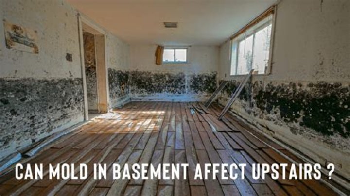 Can Mold in the Basement Affect Upstairs?