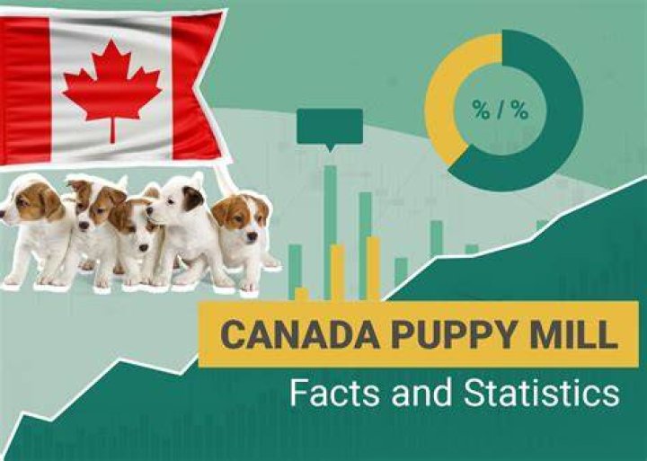 canada puppy mill statistics