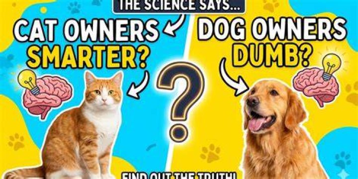 Cat owners smarter than dog owners