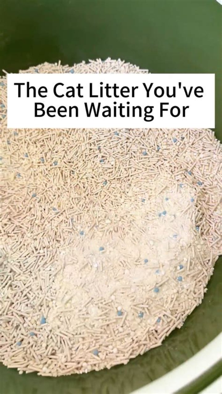 cat-litter