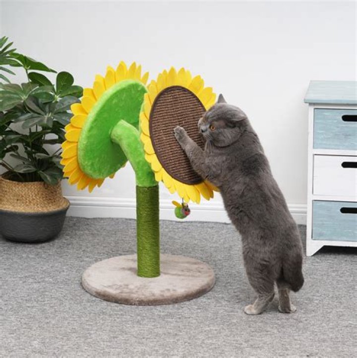 Catry Sunflower 23.2-Inch Sisal Cat Scratching Post