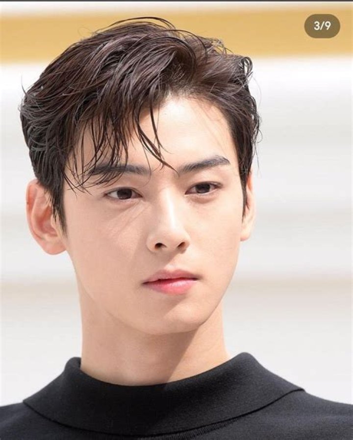 Cha Eun Woo's Engagement Unveiled Insider Details Revealed