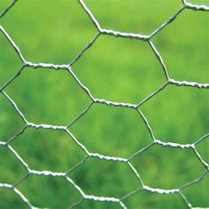 chicken wire