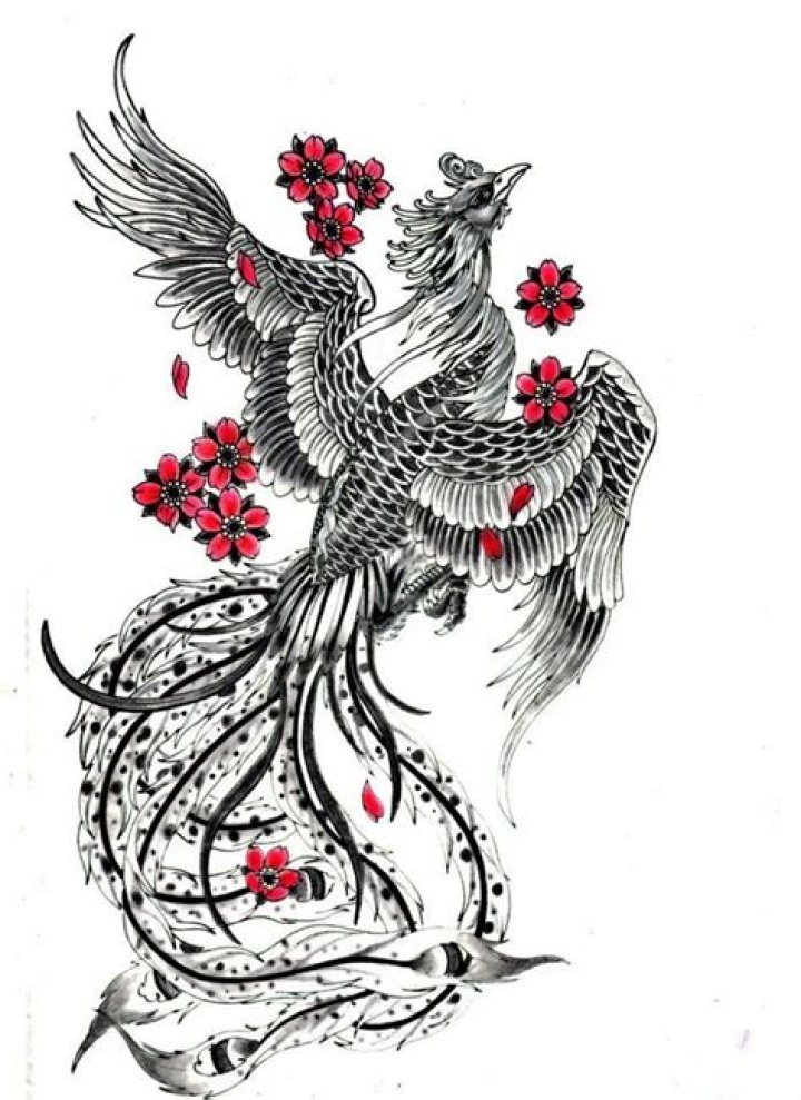 Chinese phoenix tattoo Chinese phoenix tattoo