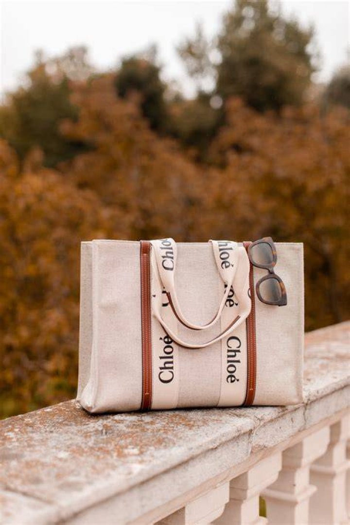 Chloe bag Chloe bag