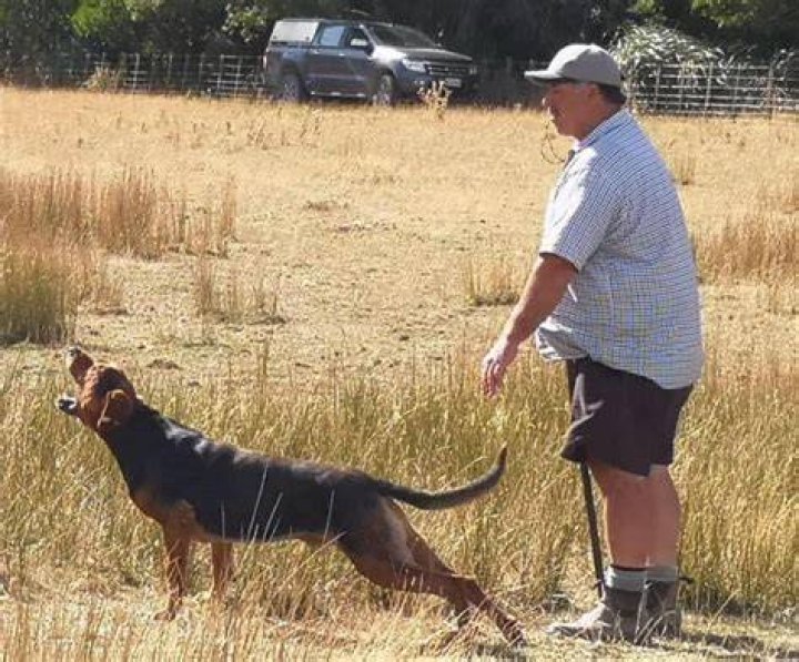 Chris Pullen with his huntaway at the course in Pongaroa before it was destroyed.