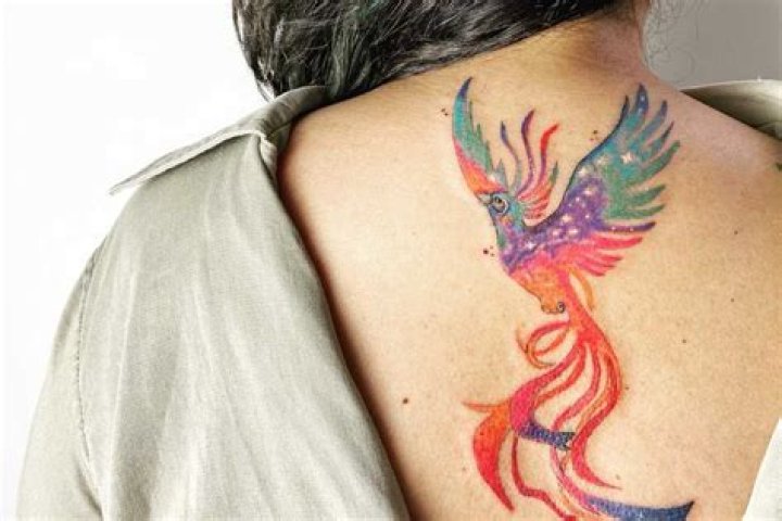 Coloured phoenix tattoo on the back Coloured phoenix tattoo on the back