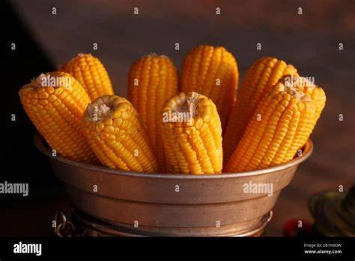 composition with fresh corn cobs on table