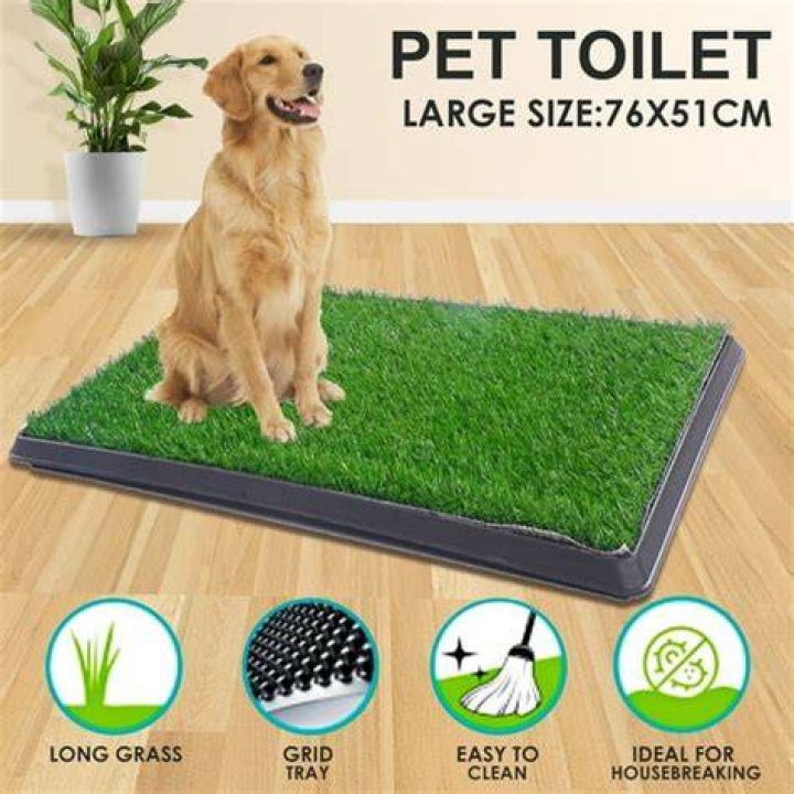 Coziwow Indoor Grass Portable Pee Turf Patch Dog Potty Trainer Pad