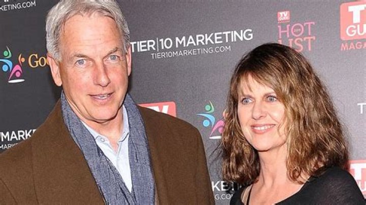 Dan Harmon Net worth, Age: Kids, Weight, Wife, Bio-Wiki