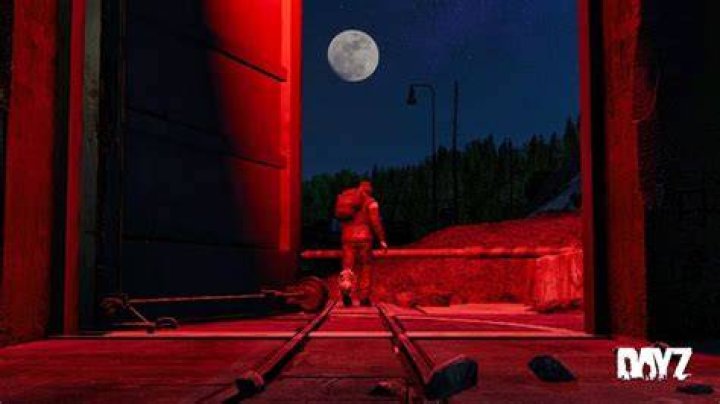 DayZ: How Long Does Night Cycle Last in the Game