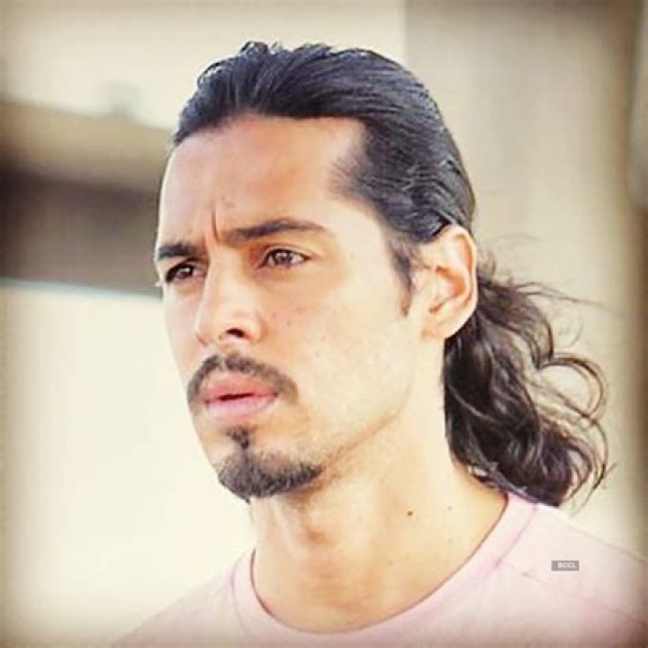 Dino Morea Image