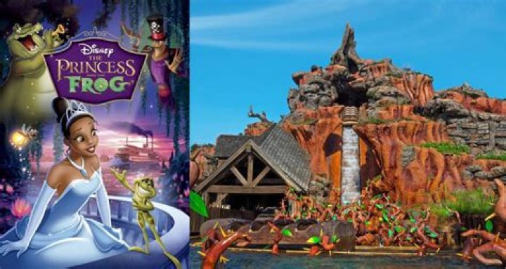 Disney to rebrand ‘racist’ Splash Mountain with ‘Princess and the Frog’ theme