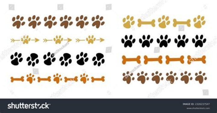 divider-dog paw
