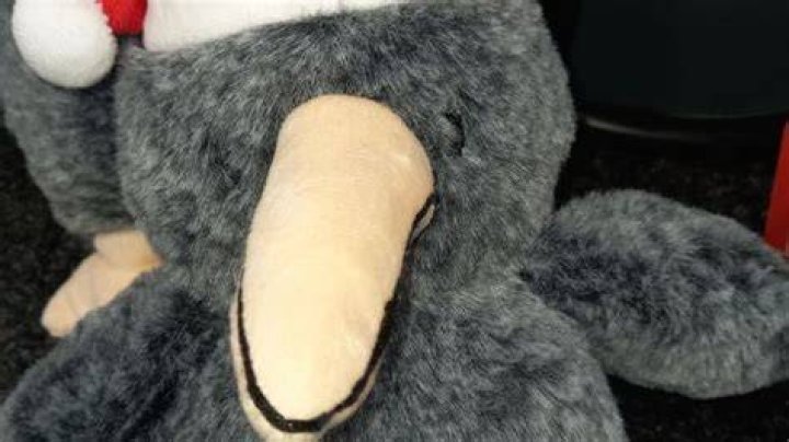 Dog toy resembling kiwi pulled from Mitre 10 shelves
