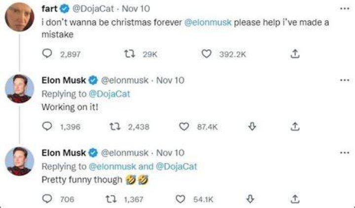 Doja Cat and Elon Musk Twitter